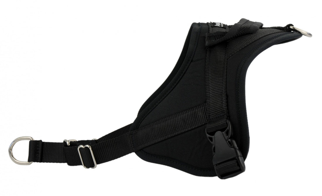 Multi Harnais Classic chien