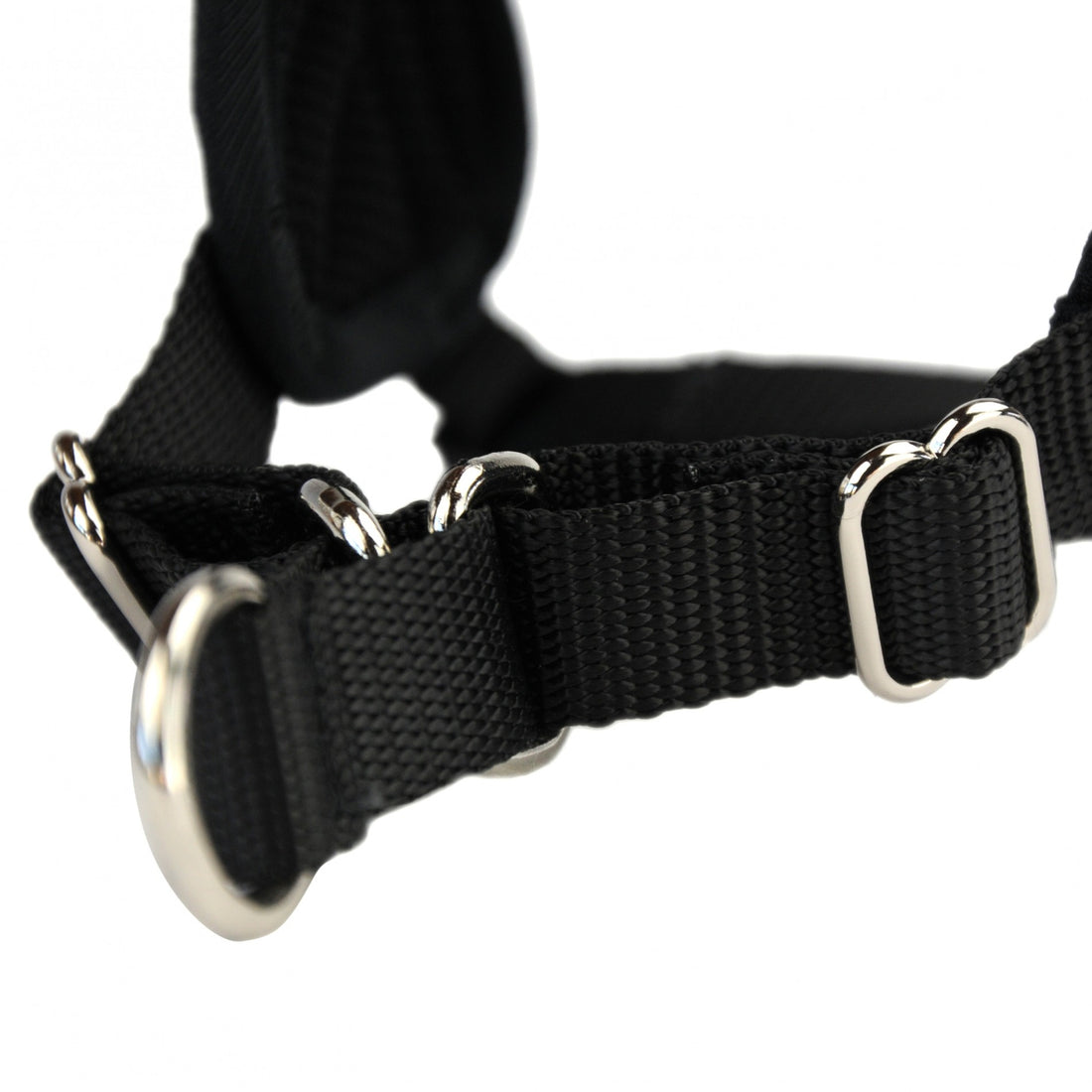 Multi Harnais Classic chien