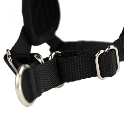 Multi Harnais Classic chien