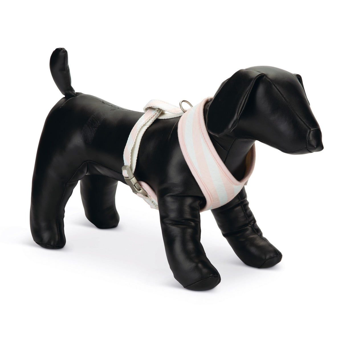 Harnais Filana chien, chiot