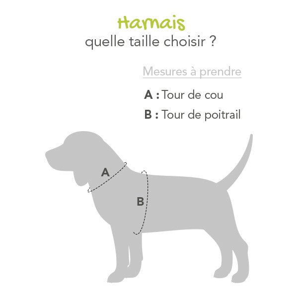 Harnais Confort Trek chien