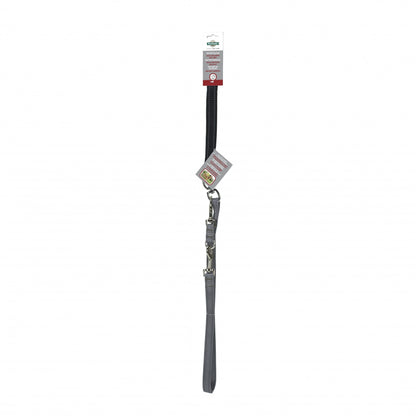 Laisse anti-traction Easywalk chien