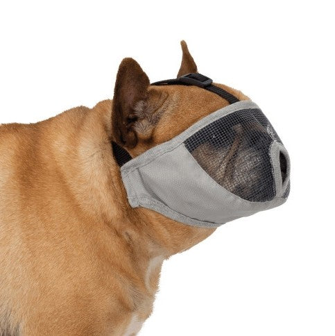 Muselière pour museau court chien
