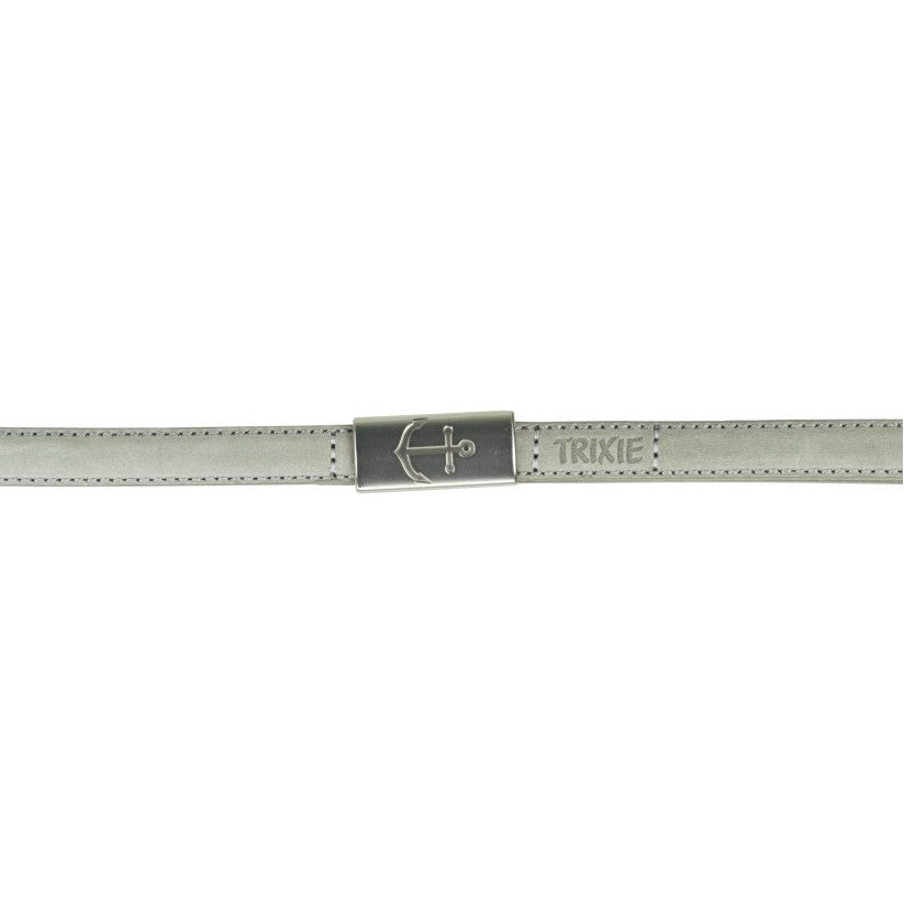 Laisse en cuir grise Be Nordic chien