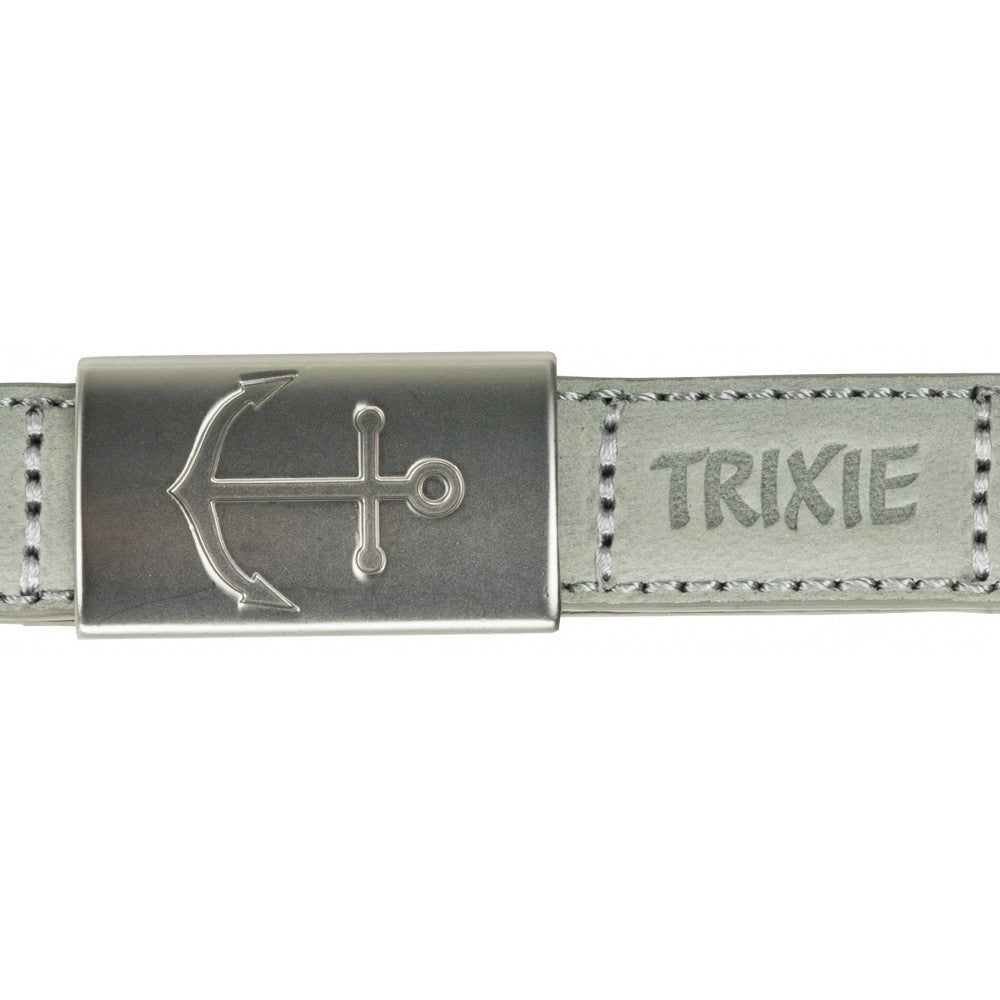 Laisse en cuir grise Be Nordic chien