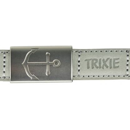 Laisse en cuir grise Be Nordic chien