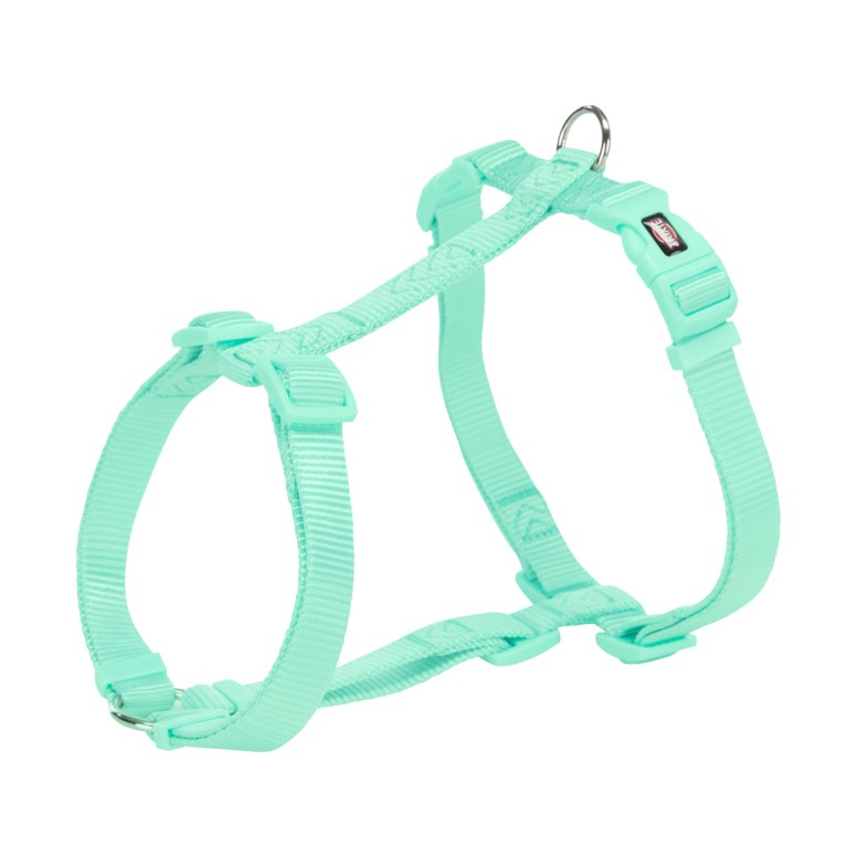 Harnais Premium vert Menthe chien