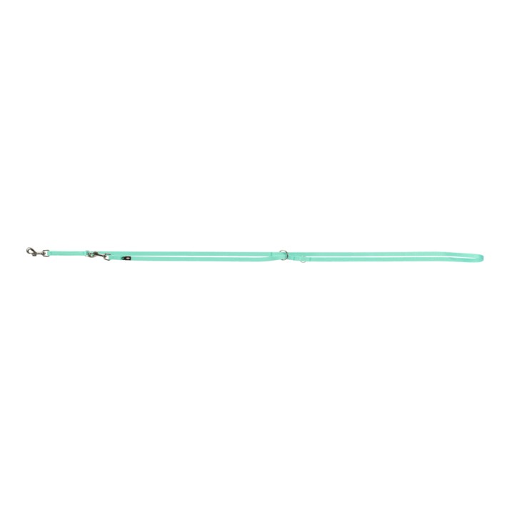 Laisse Premium réglable vert menthe chien