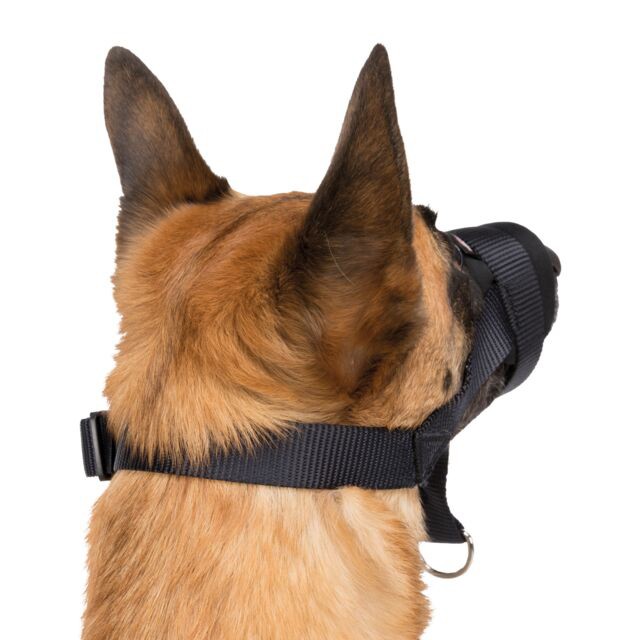 Muselière de dressage rembourrée chien