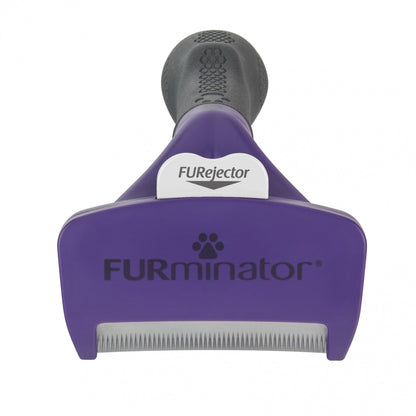 Brosse Furminator poils courts chien