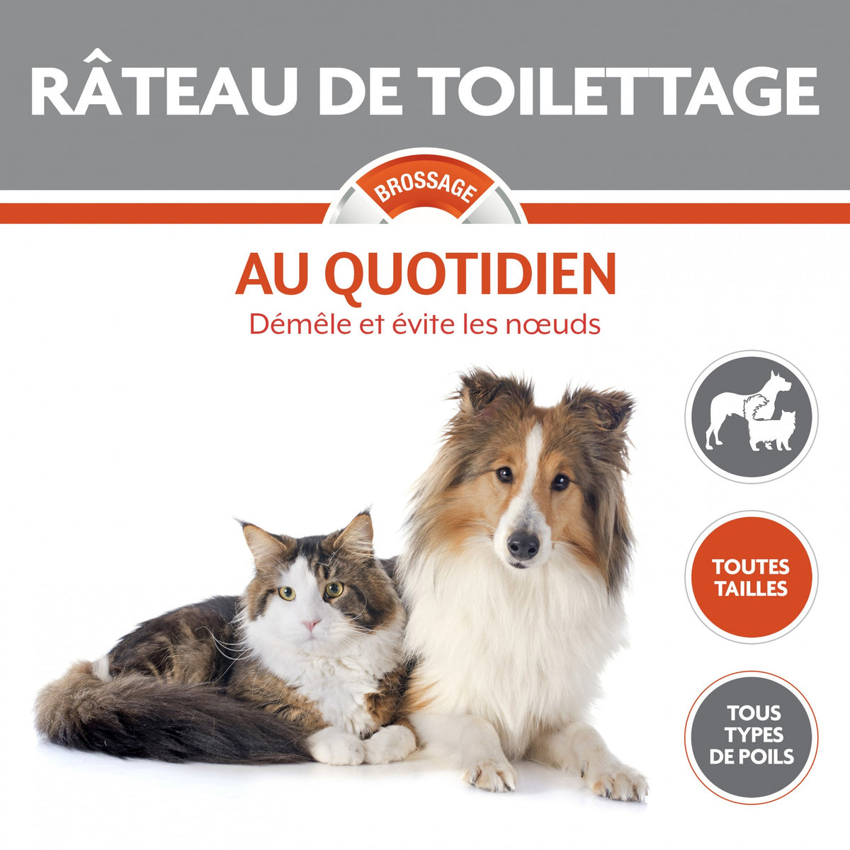 Râteau de toilettage chien, chat