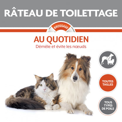 Râteau de toilettage chien, chat