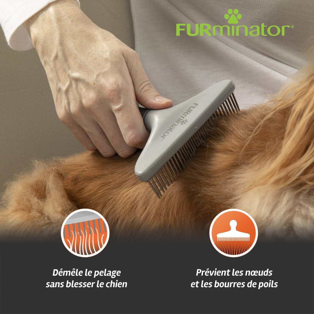 Râteau de toilettage chien, chat