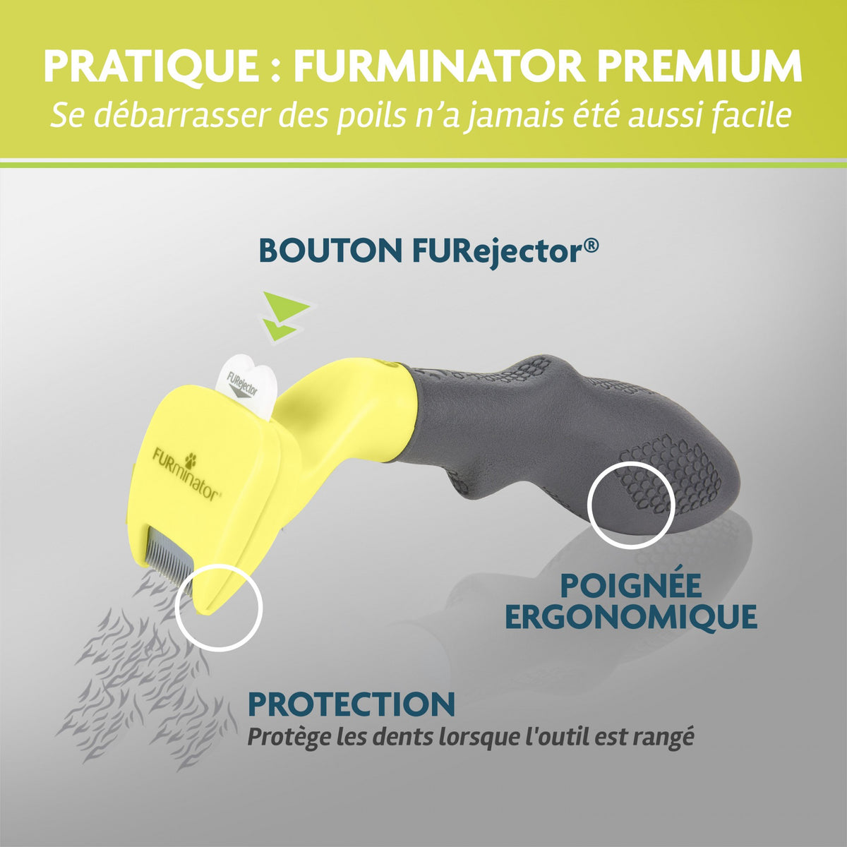 Brosse Furminator poils courts chien
