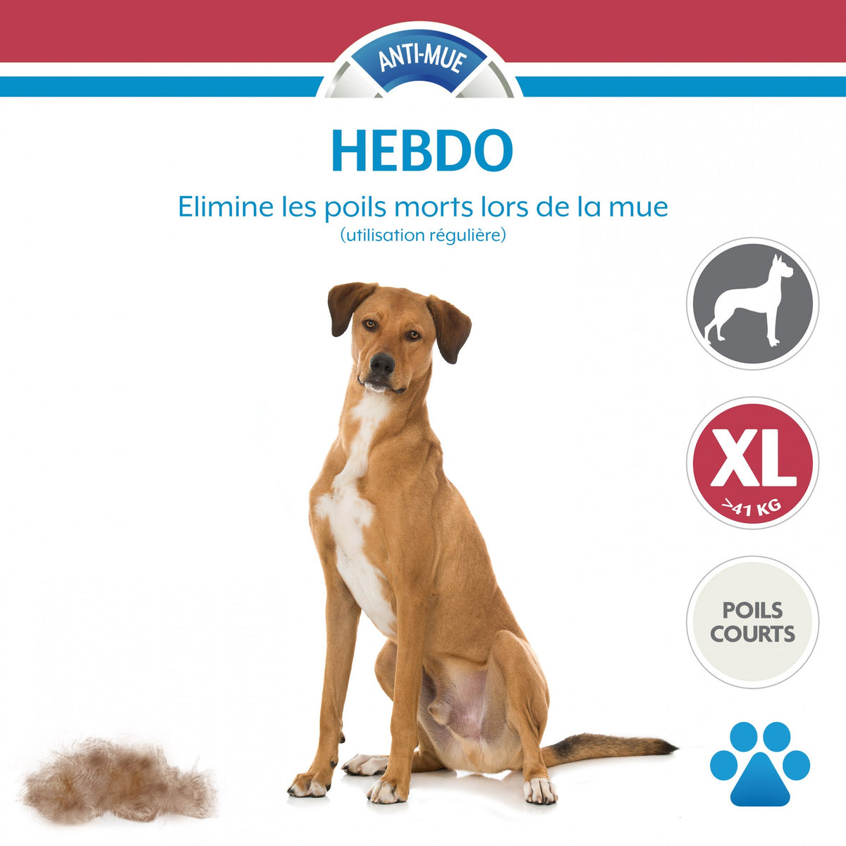 Brosse Furminator poils courts chien