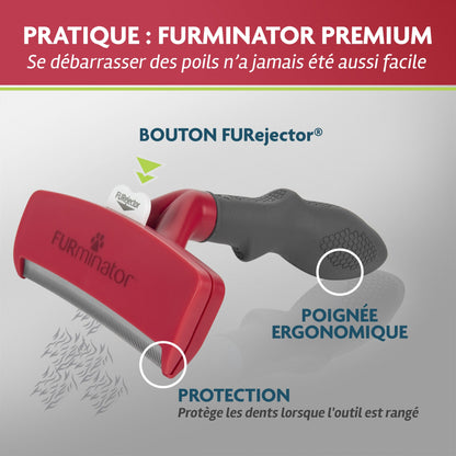 Brosse Furminator poils courts chien