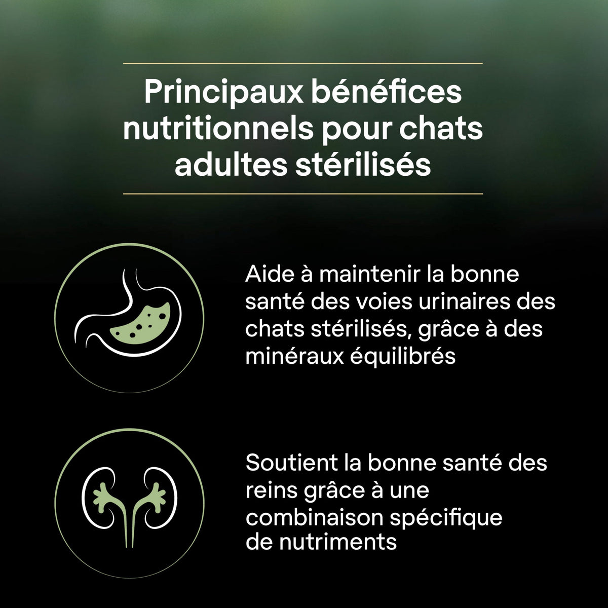 PRO PLAN LiveClear Sterilised Adult au Saumon - Croquettes pour chat