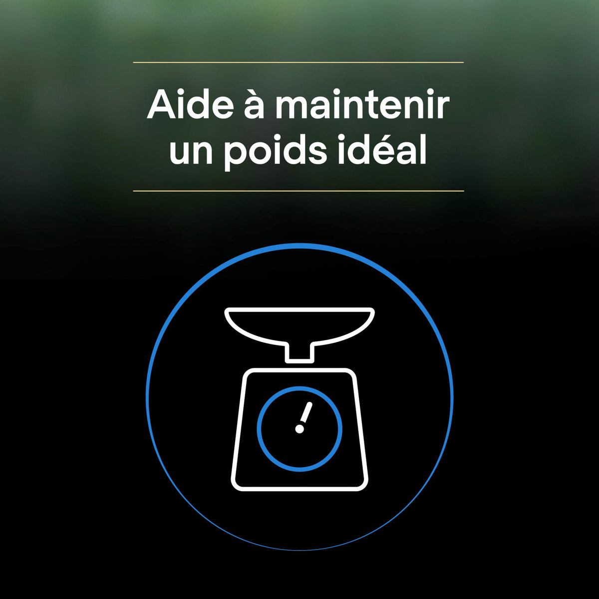 Pro Plan LiveClear Sterilised senior à la dinde - croquettes chat