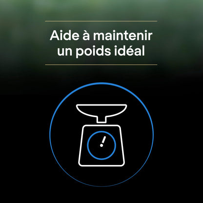 Pro Plan LiveClear Sterilised senior à la dinde - croquettes chat