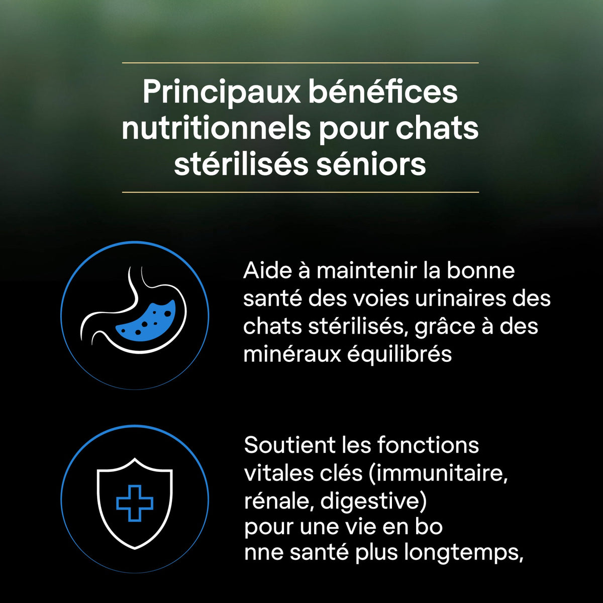 Pro Plan LiveClear Sterilised senior à la dinde - croquettes chat