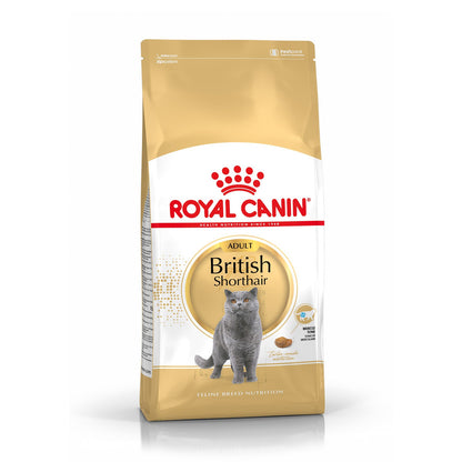 Royal Canin British Shorthair Adult - croquettes chat