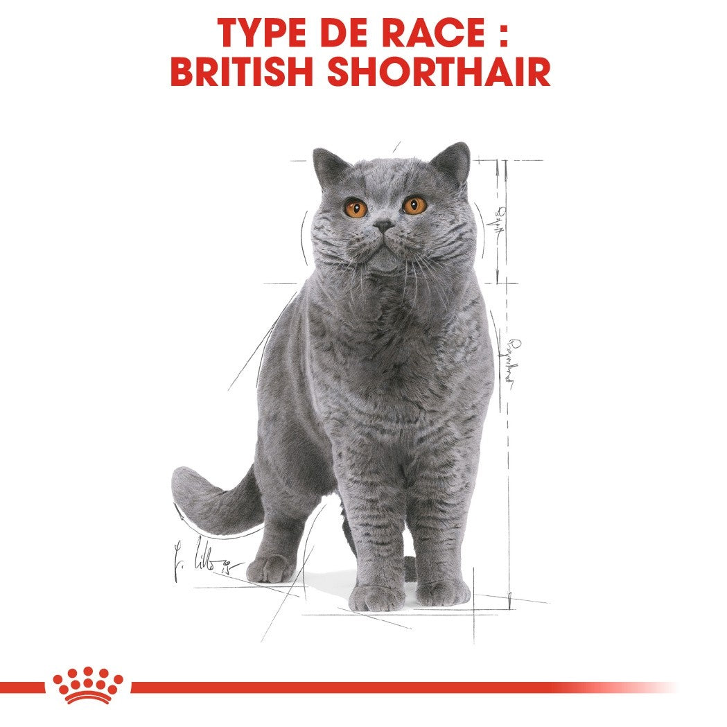 Royal Canin British Shorthair Adult - croquettes chat