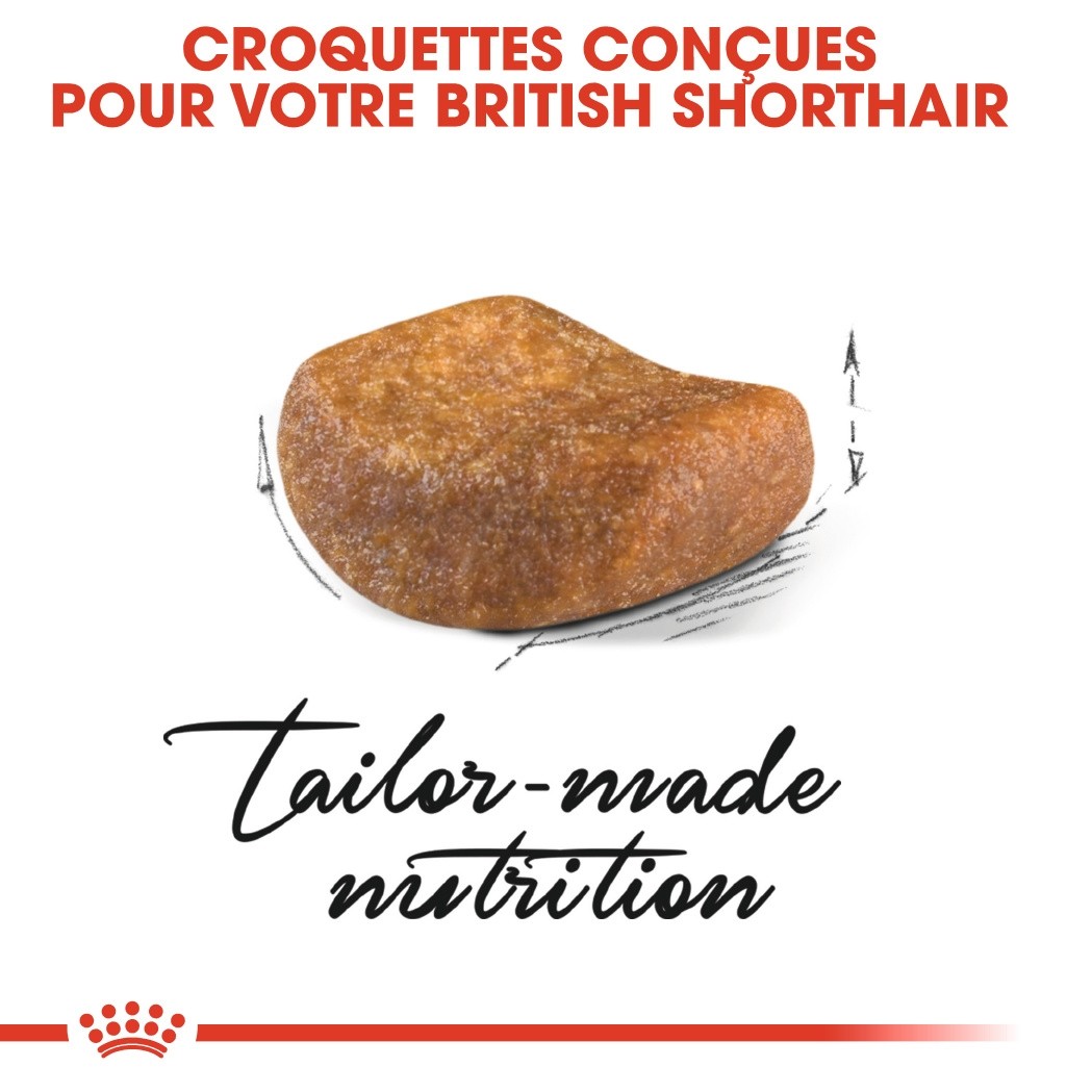 Royal Canin British Shorthair Adult - croquettes chat
