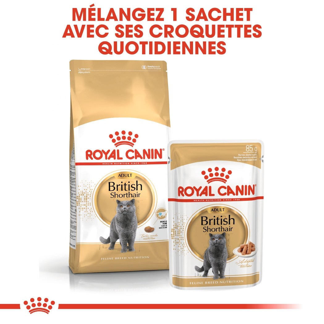 Royal Canin British Shorthair Adult - croquettes chat