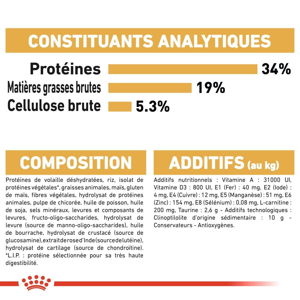 Royal Canin British Shorthair Adult - croquettes chat