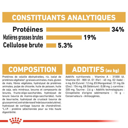 Royal Canin British Shorthair Adult - croquettes chat