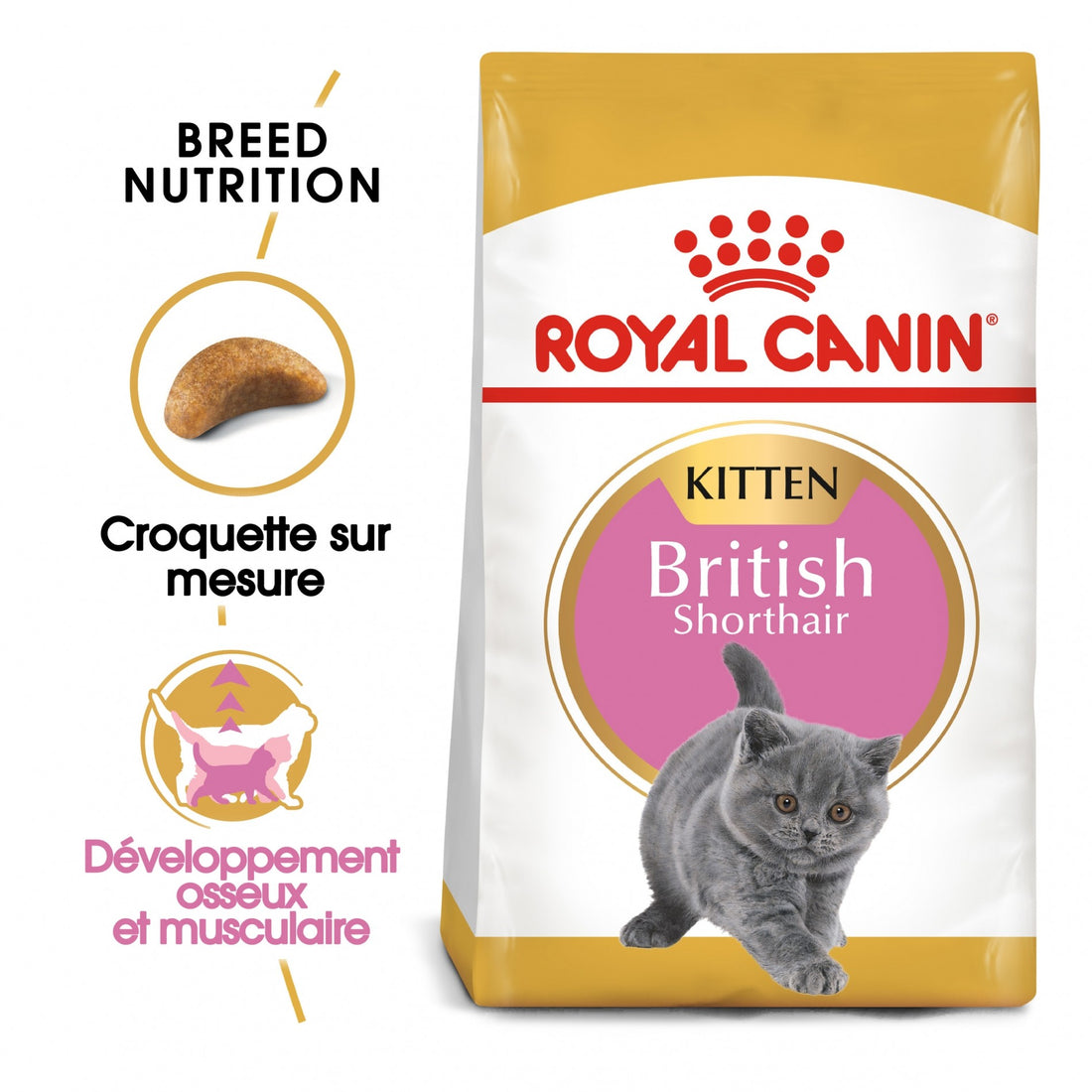 Royal Canin British Shorthair Kitten - croquettes chaton