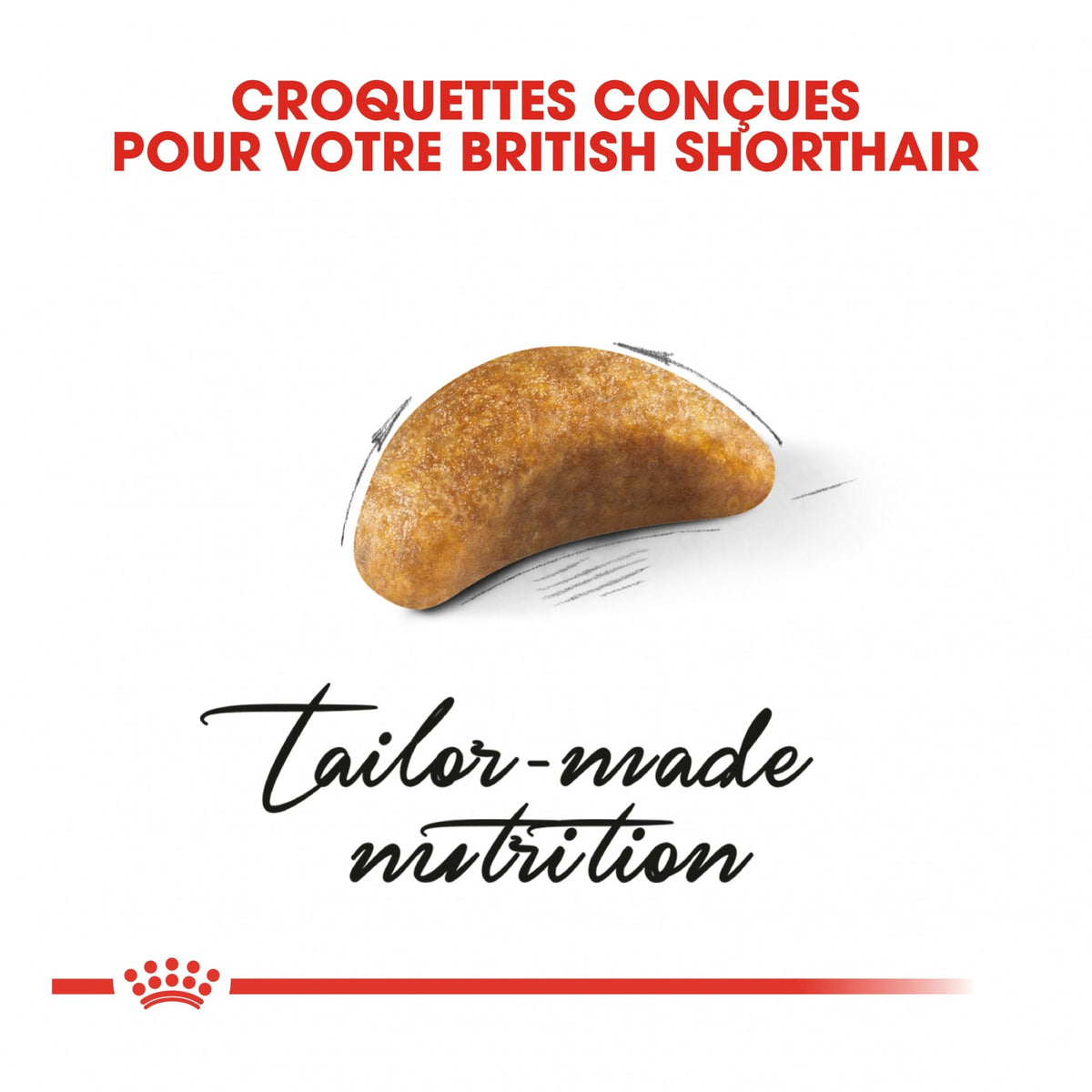 Royal Canin British Shorthair Kitten - croquettes chaton