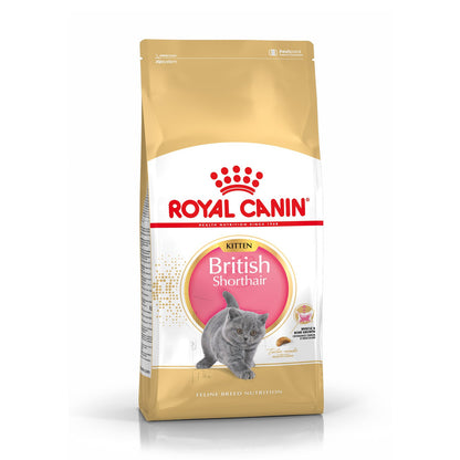 Royal Canin British Shorthair Kitten - croquettes chaton