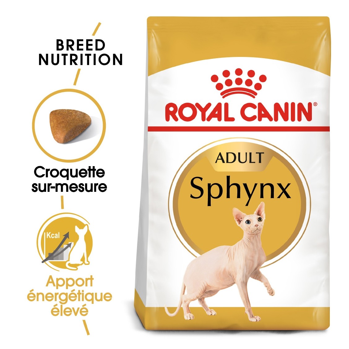 Royal Canin Sphynx Adult - croquettes chat