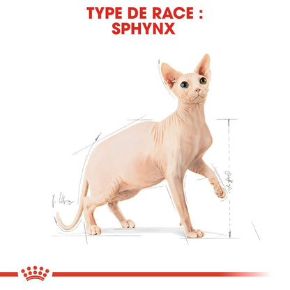 Royal Canin Sphynx Adult - croquettes chat