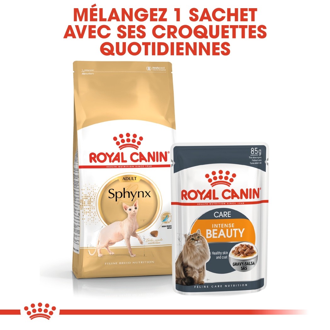 Royal Canin Sphynx Adult - croquettes chat