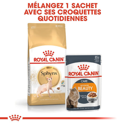 Royal Canin Sphynx Adult - croquettes chat