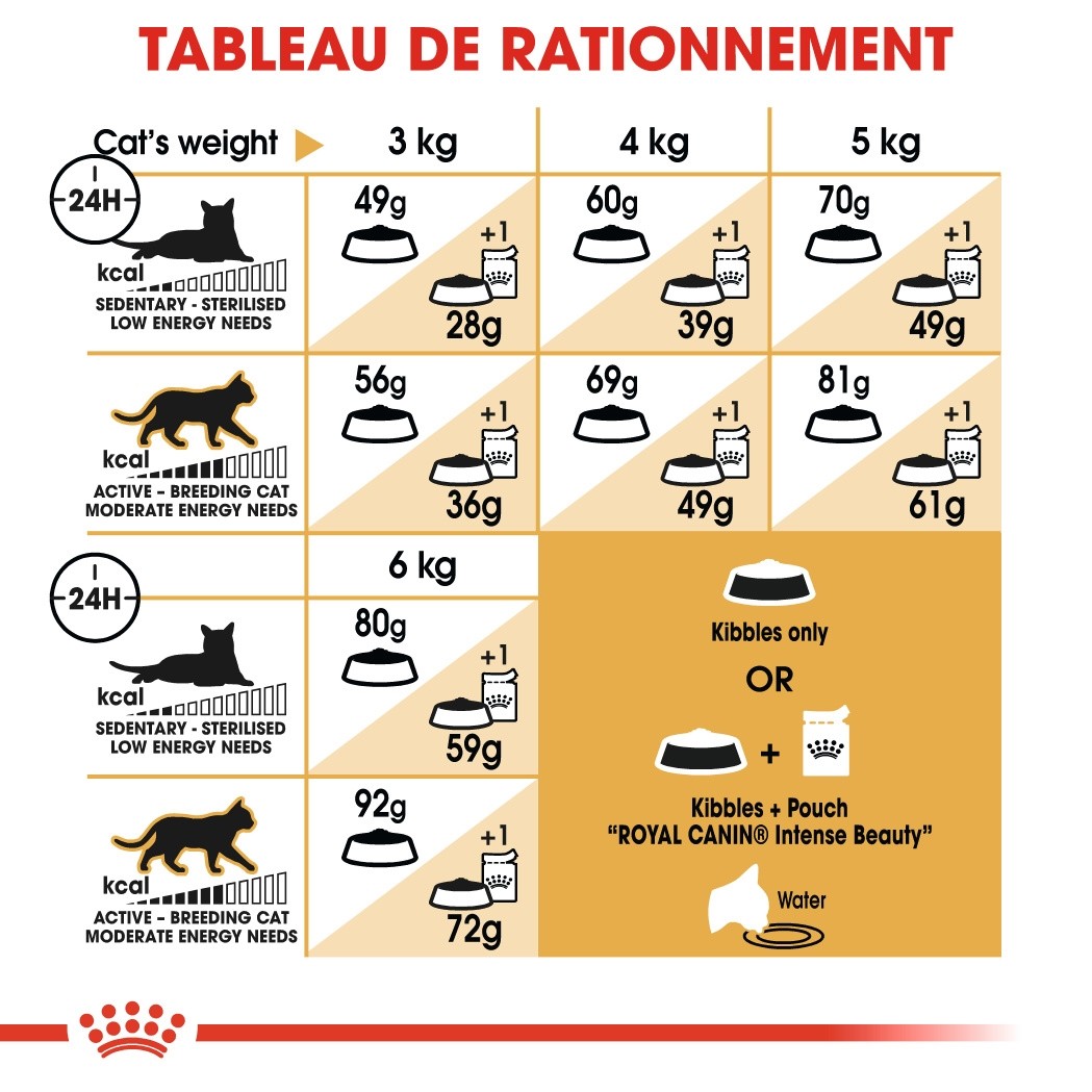 Royal Canin Sphynx Adult - croquettes chat
