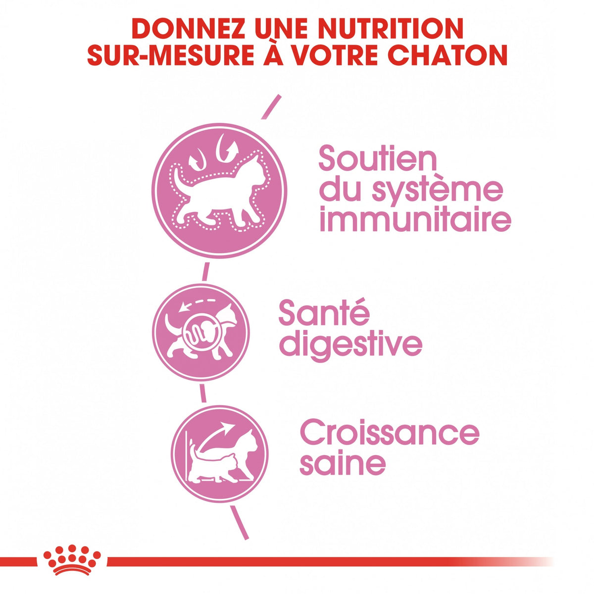 Royal Canin Kitten Second Age - croquettes chaton