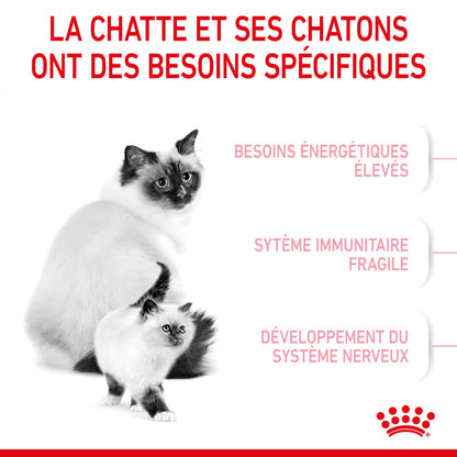 Royal Canin Mother &amp; Babycat - croquettes chatte, chaton