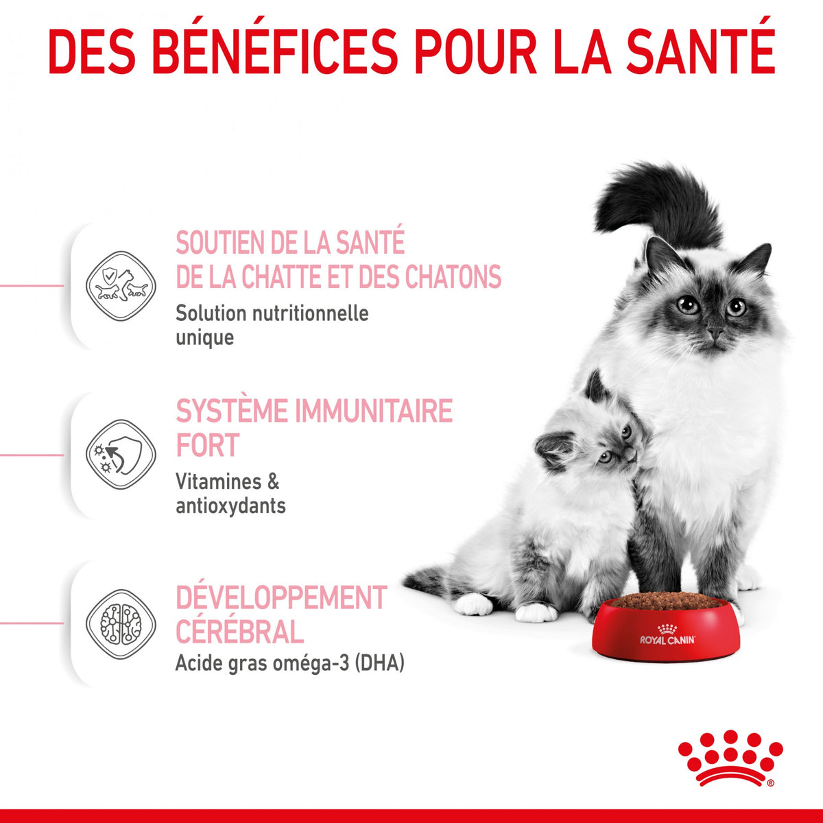 Royal Canin Mother &amp; Babycat - croquettes chatte, chaton