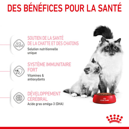 Royal Canin Mother &amp; Babycat - croquettes chatte, chaton