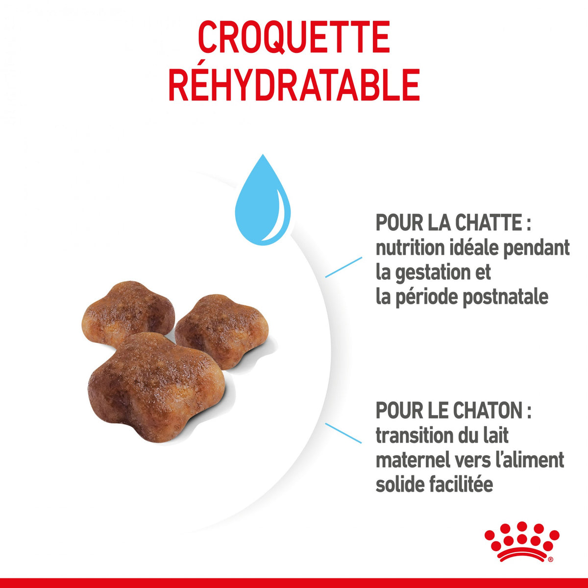 Royal Canin Mother &amp; Babycat - croquettes chatte, chaton