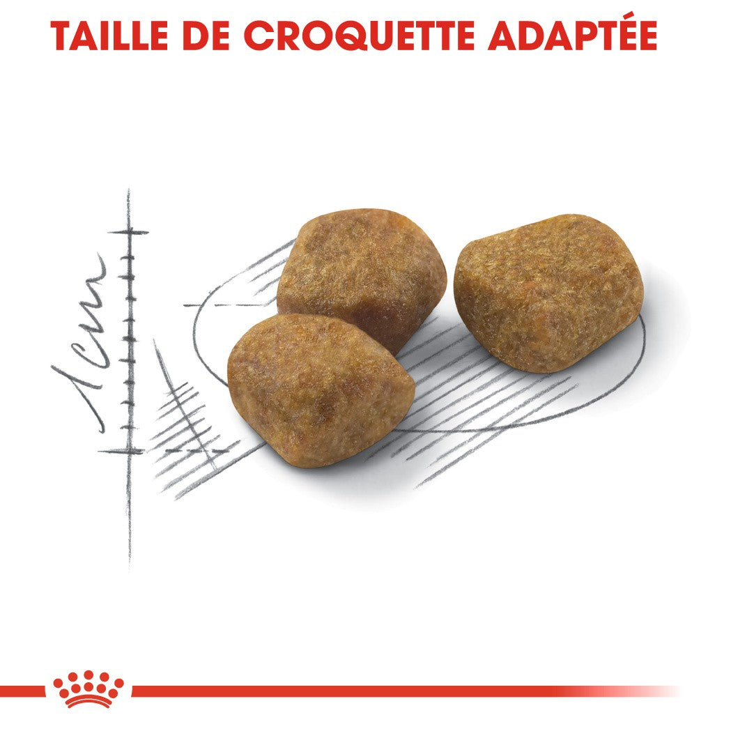 Royal Canin Fit 32 - croquettes chat