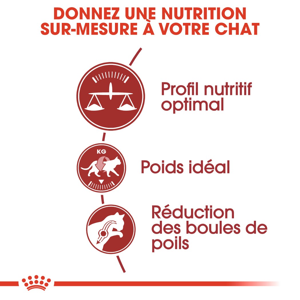Royal Canin Fit 32 - croquettes chat