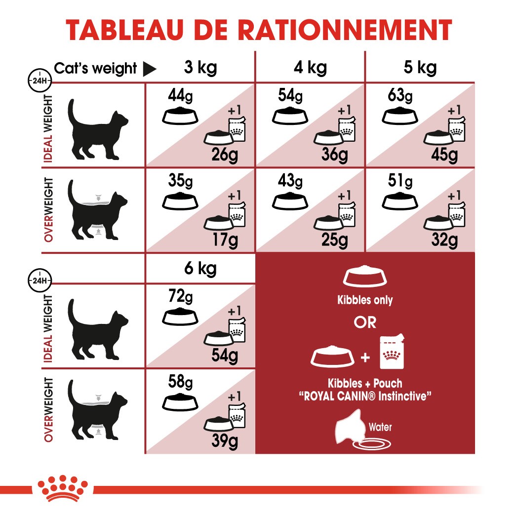 Royal Canin Fit 32 - croquettes chat