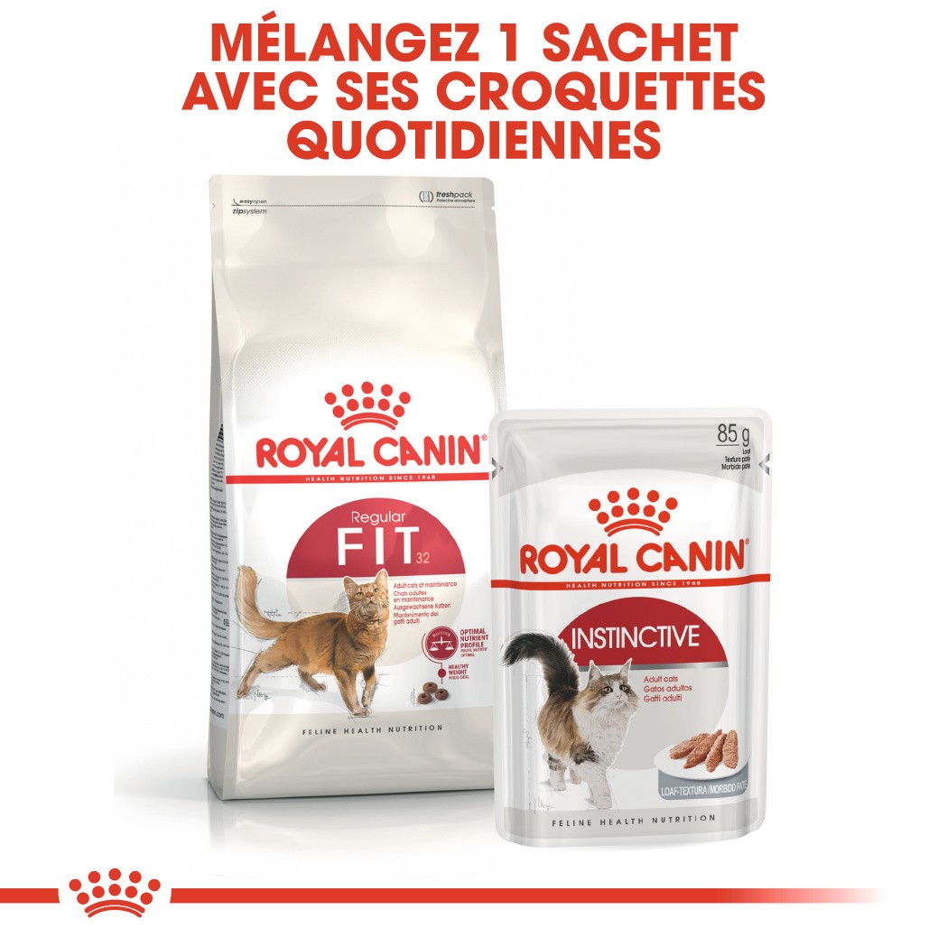 Royal Canin Fit 32 - croquettes chat