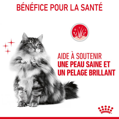 Royal Canin Hair &amp; Skin Care