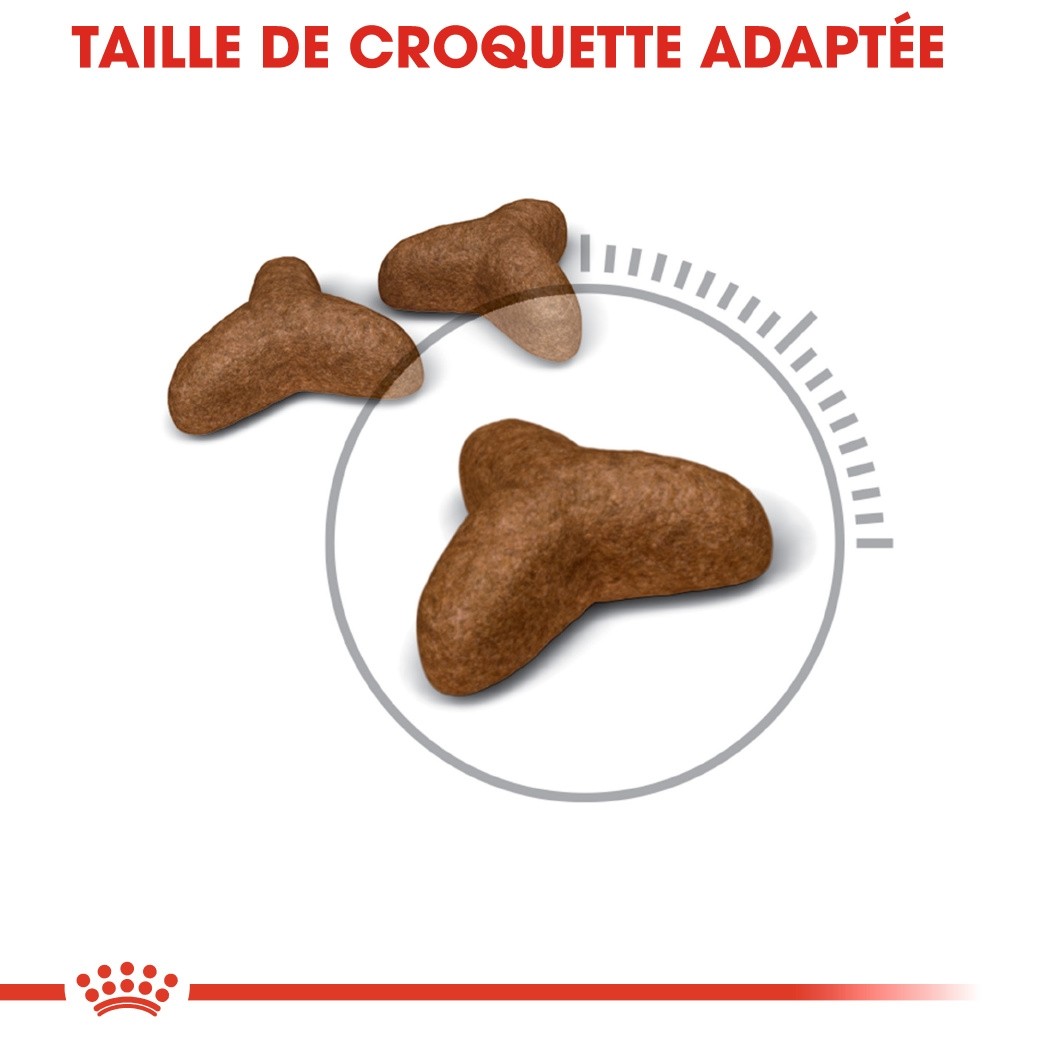 Royal Canin Light Weight Care Adult - croquettes chat