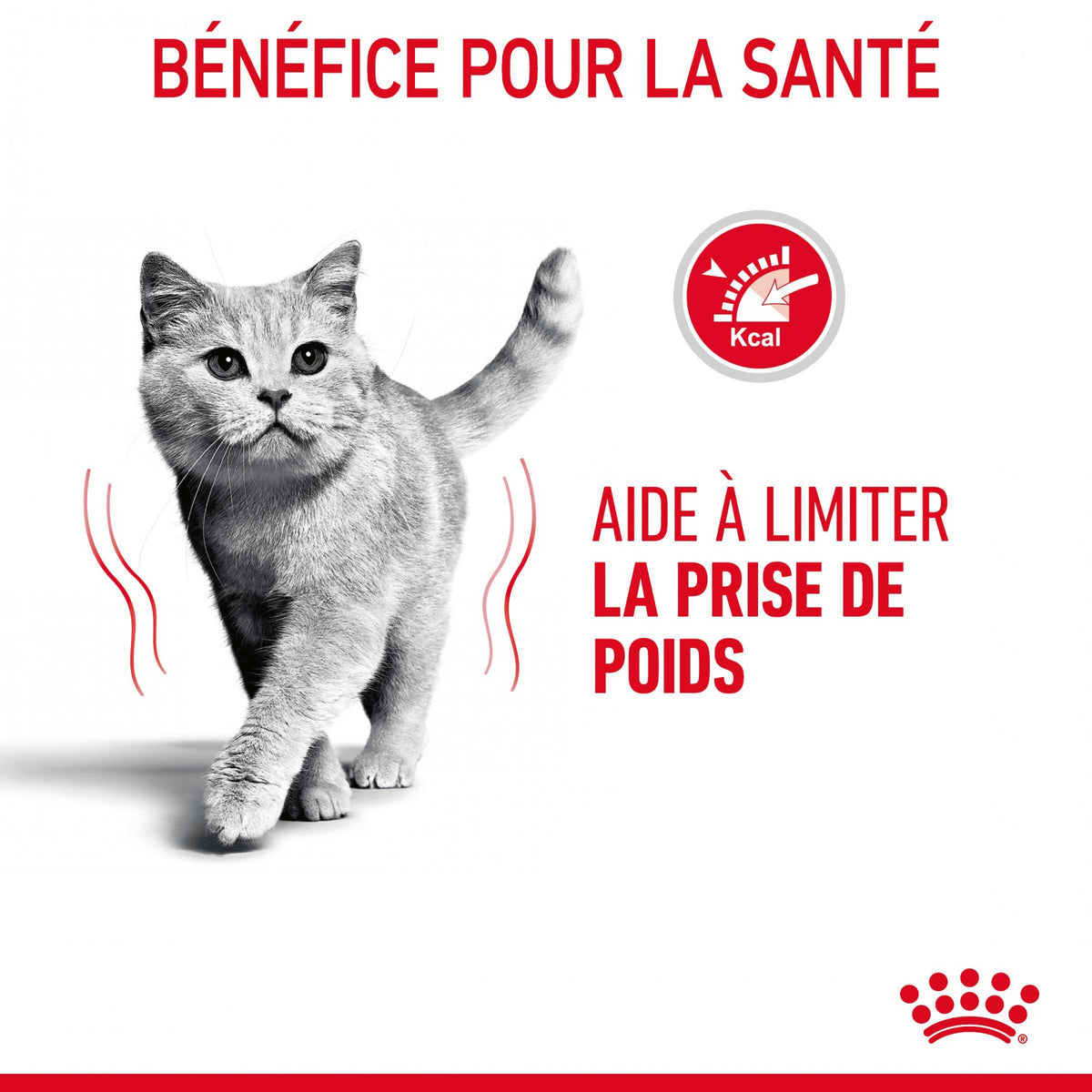 Royal Canin Light Weight Care Adult - croquettes chat